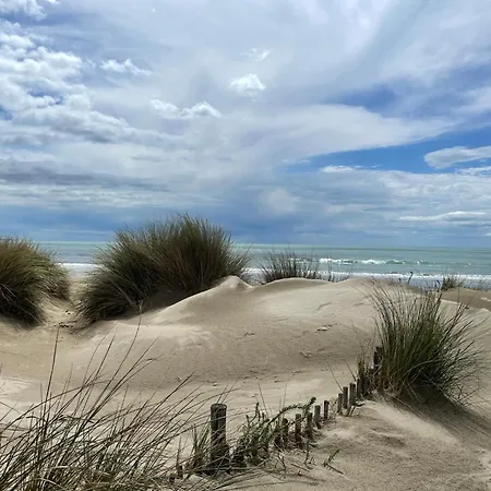 Carnon Vue Mer, Plages Clim Restaurants Commerces *